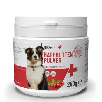 Behälter mit REAVET Hagebutten Pulver (Hagebuttenpulver) für Hunde, 250g, mit einem Hund auf dem Etikett und Text, der angibt, dass es schonend getrocknet ist.