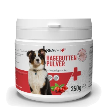 Behälter mit REAVET Hagebutten Pulver (Hagebuttenpulver) für Hunde, 250g, mit einem Hund auf dem Etikett und Text, der angibt, dass es schonend getrocknet ist.