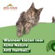 Een pluizige kat met een nieuwsgierige blik rust op groen, naast de tekst "Wanneer kiezen voor Almo Nature Anti Hairball?" en het logo.