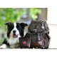 Ein glücklicher schwarz-weißer Border Collie sitzt neben einem braunen Rucksack mit der Aufschrift 'WILD HAZEL', mit einer kleinen Tasche und einem Schlüsselanhänger.