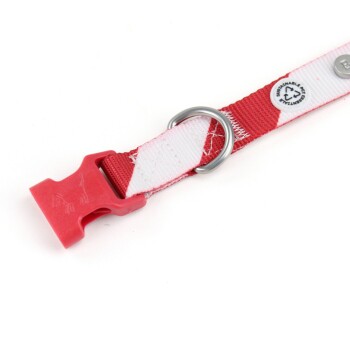 Rotes und weißes Haustierhalsband mit einer Kunststoffschnalle und einem metallenen D-Ring zur Leinenbefestigung.