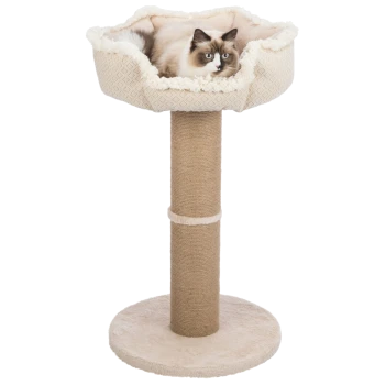 Eine flauschige cremefarbene Katze, die in einem gemütlichen, erhöhten Haustierbett auf einem Kratzbaum entspannt, mit einem stabilen Sockel und strukturiertem Design.