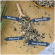 Ein Holzlöffel mit einer Saatgut-Mischung auf Jute, beschriftet mit deutschen Wörtern: "fettreich", "Nährstoffe", "Mischung" und "Energiequelle."