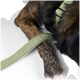 Nahaufnahme einer Hundepfote, die auf einer hellen Oberfläche ruht, mit einer grünen Leine, auf der der Text 'THE DOG' deutlich zu sehen ist.