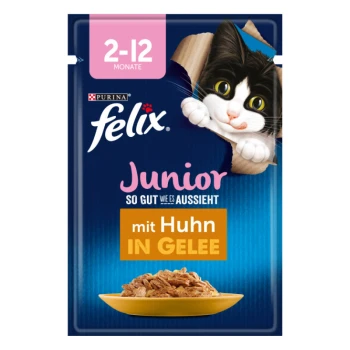 Felix Junior Katzenfutterbeutel mit einem verspielten schwarz-weißen Kätzchen, das aus einer Box schaut, beschriftet mit "mit Huhn in Gelee" auf einem blauen Hintergrund.