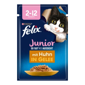 Torebka z jedzeniem dla kotów Felix Junior z zabawnym czarno-białym kociakiem wyglądającym z pudełka, oznaczona "z kurczakiem w galaretce" na niebieskim tle.
