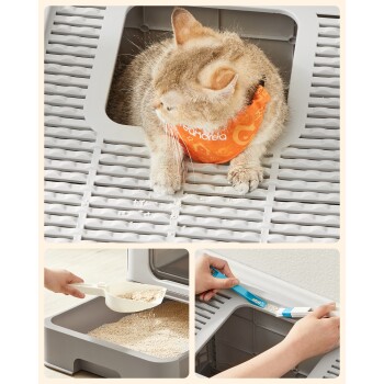 Eine flauschige Katze mit einem orangefarbenen Bandana sitzt am Eingang einer Katzentoilette, mit einer Schaufel für Katzenstreu und einem Reinigungswerkzeug, das darunter gezeigt wird.