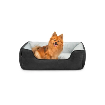 Ein glücklicher Pomeranian-Hund sitzt in einem plüschigen, schwarzen Hundebett mit einem hellblauen Innenraum.