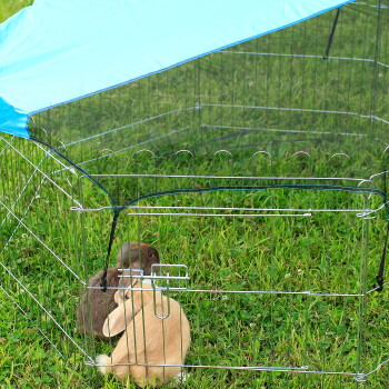 Zwei Kaninchen, eines braun und eines beige, in einem Metall-Draht-Tiergehege mit blauem Dach auf Gras.