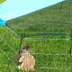 Zwei Kaninchen, eines braun und eines beige, in einem Metall-Draht-Tiergehege mit blauem Dach auf Gras.