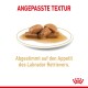 Hundefutter auf einem weißen Teller mit braunen Stücken in Soße. Text: "ANGEPASSTE TEXTUR" und "Abgestimmt auf den Appetit des Labradors."