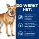 Een blije goudbruin hond in een blauwe halsband staat tegen een blauwe achtergrond met tekst over de voordelen van huisdiervoeding.