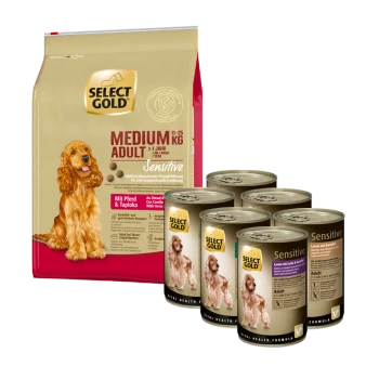 Goldene Haustierfutterverpackung mit einem Sack "Medium Adult Sensitive" Trockenfutter für Hunde und sechs Dosen Nassfutter, mit einem Hundebild.