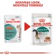L'image montre deux sachets de nourriture pour chats Royal Canin, étiquetés "Instinctif +7 ans" et "Instinctif 7+", mettant en avant un nouveau look et une nouvelle formule.