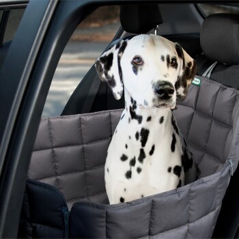 Autoschondecke für Hunde – Die 15 besten Produkte im Vergleich