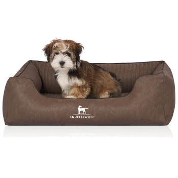 Ein kleiner, flauschiger Hund sitzt bequem in einem stilvollen braunen Haustierbett mit einem gesteppten Innenraum, mit dem Logo "KNUFFELWUFF."