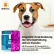Hundesupplement-Glas mit der Aufschrift "Joint Pro" und einem blauen Deckel, mit Text über die Unterstützung des Hundeknorpels mit Glucosamin und Chondroitin.
