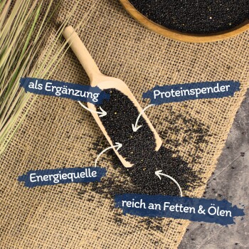 Schwarze Samen auf Jute mit einem Holzlöffel; Text-Highlights: "als Ergänzung," "Proteinsspender," "Energiequelle," "reich an Fetten & Ölen."
