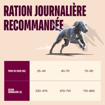 Illustration d'un chien en course, titre « RATION JOURNALIÈRE RECOMMANDÉE », tableau : poids 25–90 kg, rations quotidiennes 330–860 g.