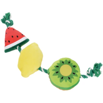 Buntes Hundeseilspielzeug mit Plüsch-Wassermelonen-, Zitronen- und Kiwifruchtformen.