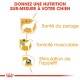 Image promouvant une nutrition sur mesure pour les chiens, présentant des icônes pour la santé du pelage, le tonus musculaire et la stimulation de l'appétit, avec du texte en français.