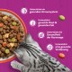 Grau getigerte Katze frisst Trockenfutter vor violettem Hintergrund; deutscher Text: 'Unterstützt ein gesundes Immunsystem, Haut & Fell, Harnwege, Verdauung.'