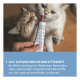 Zwei Kätzchen lecken an einer von Hand gehaltenen Paste-Tube; blauer Banner mit der Aufschrift 'GUT AUFWACHSEN IN DER KITTENZEIT' und deutschem Text.