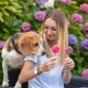 Eine Frau hält zwei bunte, pfotenförmige Tierleckerlis, während ein neugieriger Beagle zuschaut, mit lebhaften Hortensien im Hintergrund.
