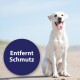 Ein weißer Hund sitzt an einem sandigen Strand, mit einem runden blauen Etikett, das in fetten weißen Buchstaben "Entfernt Schmutz" liest.