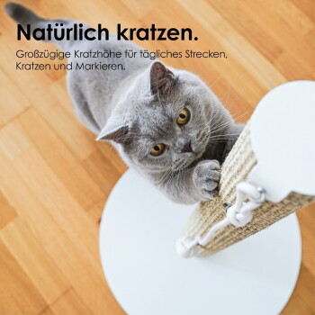 Graue Katze mit bernsteinfarbenen Augen kratzt an einem Sisalpfosten auf weißer Basis auf Holzboden; sichtbarer Text: 'Natürlich kratzen.'