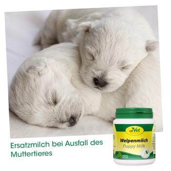 cdVet Welpenmilch 3 kg