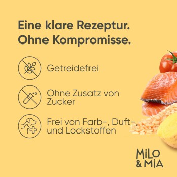Bild, das Milo & Mia Hundefutter bewirbt, das glutenfreie, zuckerfreie und zusatzstofffreie Zutaten mit Bildern von Lachs und Gemüse hervorhebt.