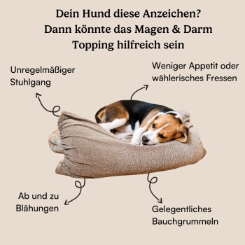 Futtertopping - Magen & Darm - Verdauung, Darmgesundheit, Ballaststoffe, Präbiotikum 250 g