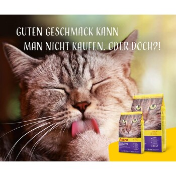 Eine überraschte graue Katze schaut auf ein weißes Papier, das die Zutaten für Katzenfutter auflistet, einschließlich Geflügel, Reis und Fisch, mit dem Josera-Logo sichtbar.