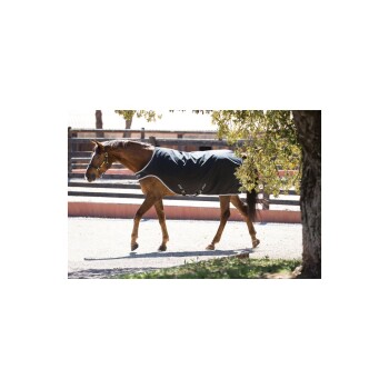 Ein braunes Pferd, das eine schwarze Decke trägt, geht auf einem Kiesweg in einer sonnigen Außenumgebung, mit Holzzaun im Hintergrund.