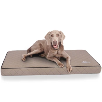 Ein großer, hellbrauner Hund ruht sich bequem auf einem beigen, gesteppten Hundebett mit schwarzem Rand aus, das das Markenlogo in der Ecke zeigt.