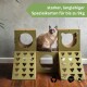 Eine verspielte Katze sitzt auf grünen Pappmöbeln mit Ausschnitten und einem Banner mit der Aufschrift "starker, langlebiger Spezialkarton für bis zu 9kg."