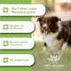 Hund auf Gras mit Textfeldern, die die Vorteile eines natürlichen Haustierprodukts bei Verdauungsproblemen auflisten, mit "100% natürliche Inhaltsstoffe."