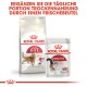 Royal Canin Katzenfutterverpackung mit einer Tüte Regular Fit und einem Beutel Instinctive, mit einem Text, der tägliche Fütterungsvorschläge bewirbt.