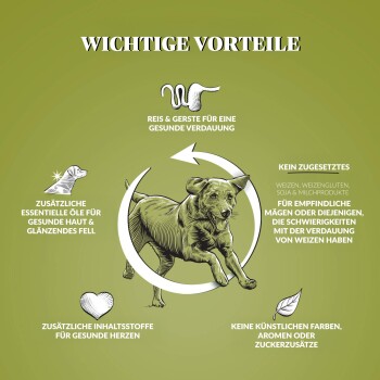 Illustration, die die Vorteile von Hundefutter hervorhebt, mit einem laufenden Hund und Text auf Deutsch über gesunde Verdauung, Haut und Herz.