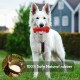 Ein weißer Hund hält ein rotes, traktorförmiges Spielzeug im Mund, steht auf Gras mit einem verschwommenen Haus im Hintergrund. Text: "100% sicherer Naturkautschuk."