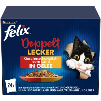 Felix Doppelt Lecker Katzenfutterbox mit einer schwarz-weißen Katze, die durch zerrissenes Papier schaut, und einer Schüssel mit Fleischstücken in Gelee.