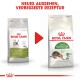 Das Bild zeigt zwei Tüten Royal Canin Katzenfutter, die mit "OUTDOOR" und "Aktives Leben OUTDOOR" beschriftet sind, und hebt ein neues Aussehen und eine verbesserte Rezeptur hervor.