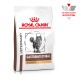 Veterinary Gastrointestinal Hairball 2 kg