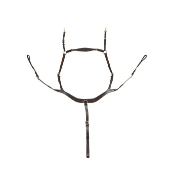 Hans Melzer Vorderzeug Balve braun/messing WB (Warmblut)