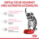 Verspieltes getigertes Kätzchen neben einer roten Schüssel von Royal Canin, das Gesundheitsvorteile für kastrierte Kätzchen hervorhebt: Immunsupport, Wachstum und Gewichtskontrolle.