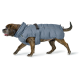 Ein gestromter Hund, der einen grauen, puffy Wintermantel mit hohem Kragen und verstellbaren Riemen trägt, vor einem weißen Hintergrund läuft.