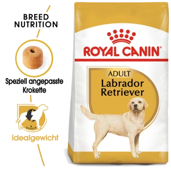Royal Canin Adult Labrador Retriever Hundefutterbeutel, der rassespezifische Ernährung, eine Kibble-Illustration und das Etikett "Idealgewicht" zeigt.