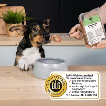 Hund schnuppert an einem Löffel voll Nass‑BARF‑Futter aus einem Beutel mit Aufschrift 'Komplett‑Mix' und 'BARF‑Alleinfuttermittel', DLG‑Siegel sichtbar.
