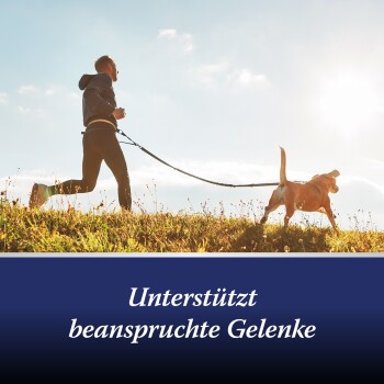 ARDAP Canosept Gelenktabletten 20x1 Stück